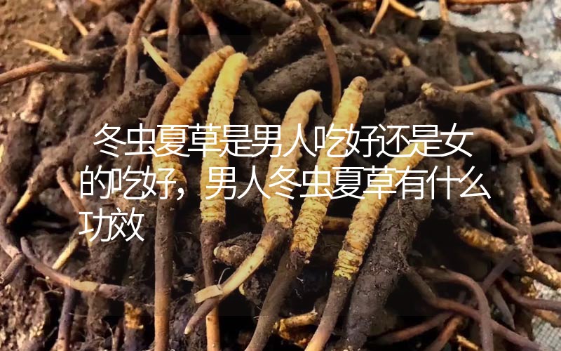 冬蟲(chóng)夏草是男人吃好還是女的吃好，男人冬蟲(chóng)夏草有什么作用