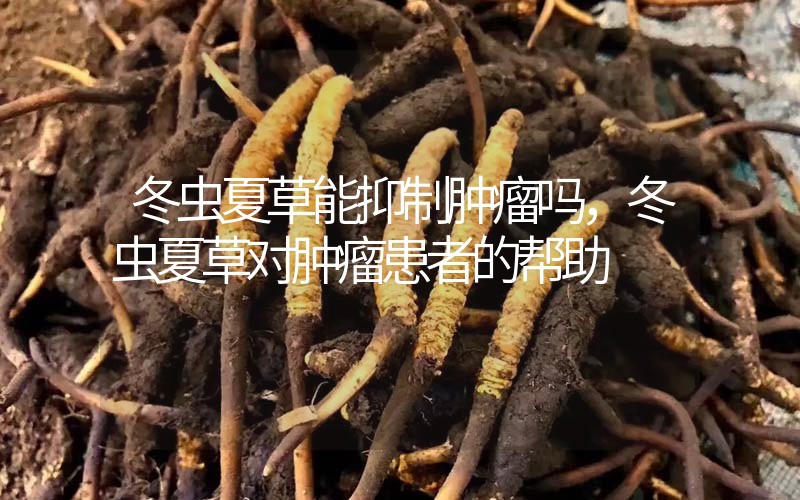 冬蟲(chóng)夏草能抑制腫瘤嗎？冬蟲(chóng)夏草對(duì)腫瘤患者的幫助