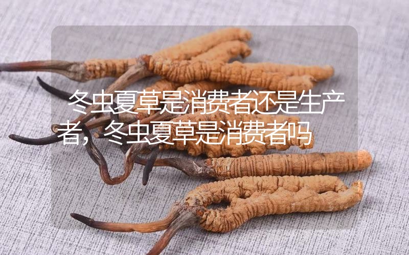 貧血吃冬蟲夏草有效果嗎，貧血虛弱者可以用冬蟲夏草嗎？