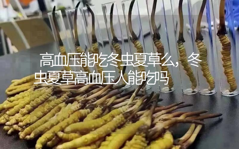 高血壓能吃冬蟲夏草么，冬蟲夏草高血壓人能吃嗎