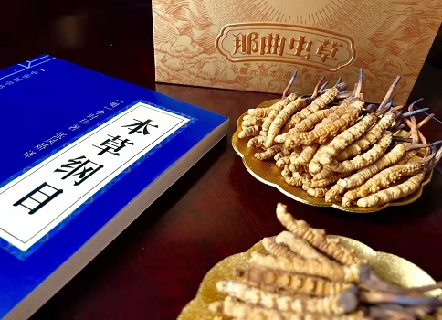 冬蟲(chóng)夏草真就那么好嗎？它的主要功能是什么呀