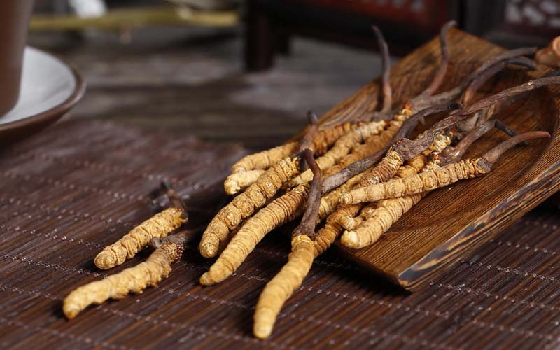 正宗野生蟲草多少錢一斤(冬蟲夏草一般多少錢一斤/克/根)