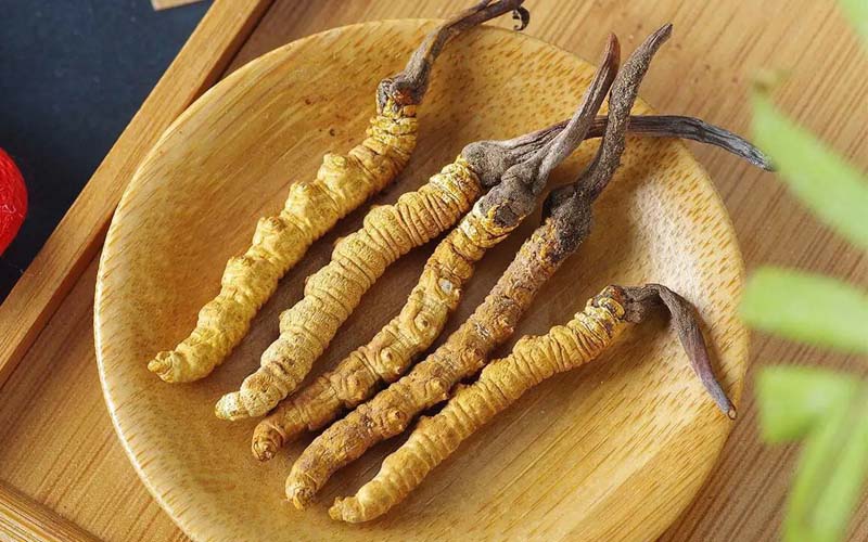 冬蟲夏草作用可以調節(jié)身體肝臟功能嗎？