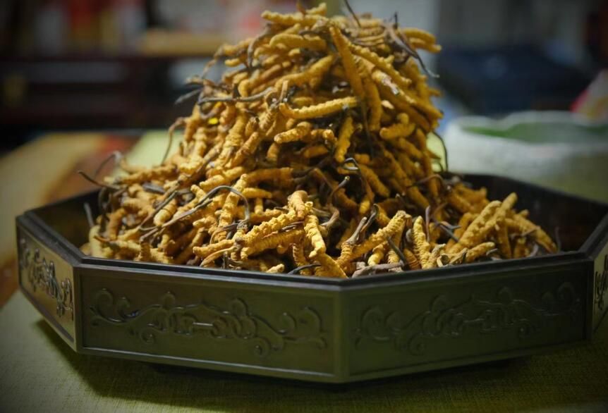 <a href=http://www.ddhuz.com/ target=_blank class=infotextkey>冬蟲夏草</a>