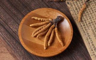 冬蟲夏草對(duì)人體有哪些營(yíng)養(yǎng)？