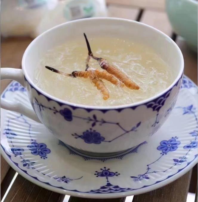 養(yǎng)生小竅門：冬蟲夏草燉什么好喝？