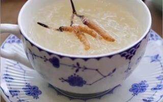 端午節(jié)應(yīng)該怎么吃冬蟲夏草？