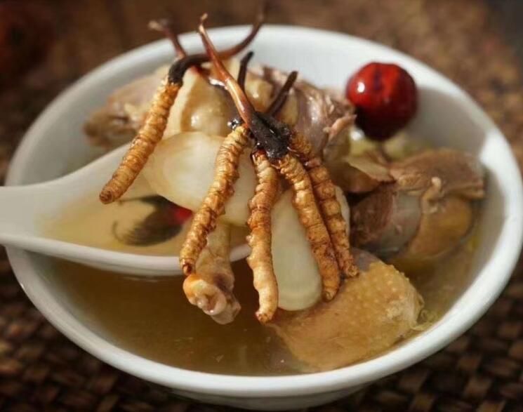 冬蟲(chóng)夏草可以空腹吃嗎？