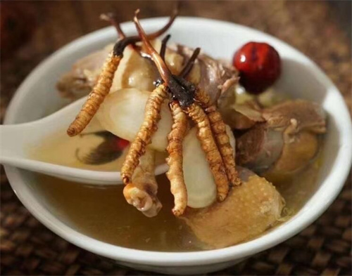 冬蟲夏草用什么壺煮水？