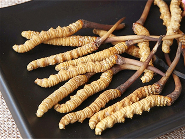 真的冬蟲夏草什么價(jià)格？影響冬蟲夏草價(jià)格波動(dòng)的3個(gè)關(guān)鍵因素