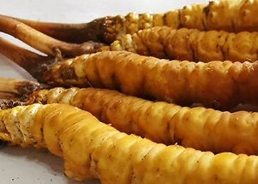 <a href=http://www.ddhuz.com/sdph/zf/ target=_blank class=infotextkey>珍峰冬蟲夏草</a>主要的銷售模式