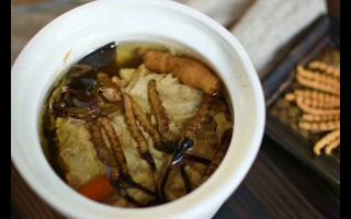 冬蟲(chóng)夏草怎么食用？解鎖滋補(bǔ)養(yǎng)生的正確打開(kāi)方式