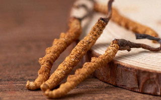 冬蟲夏草對(duì)鼻炎的緩解作用：科學(xué)解析與使用指南