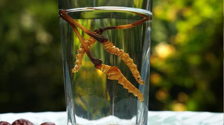 <a href=http://www.ddhuz.com/xinxian/ target=_blank class=infotextkey>鮮冬蟲夏草</a>怎么泡好吃？這些配方讓滋補更有滋味