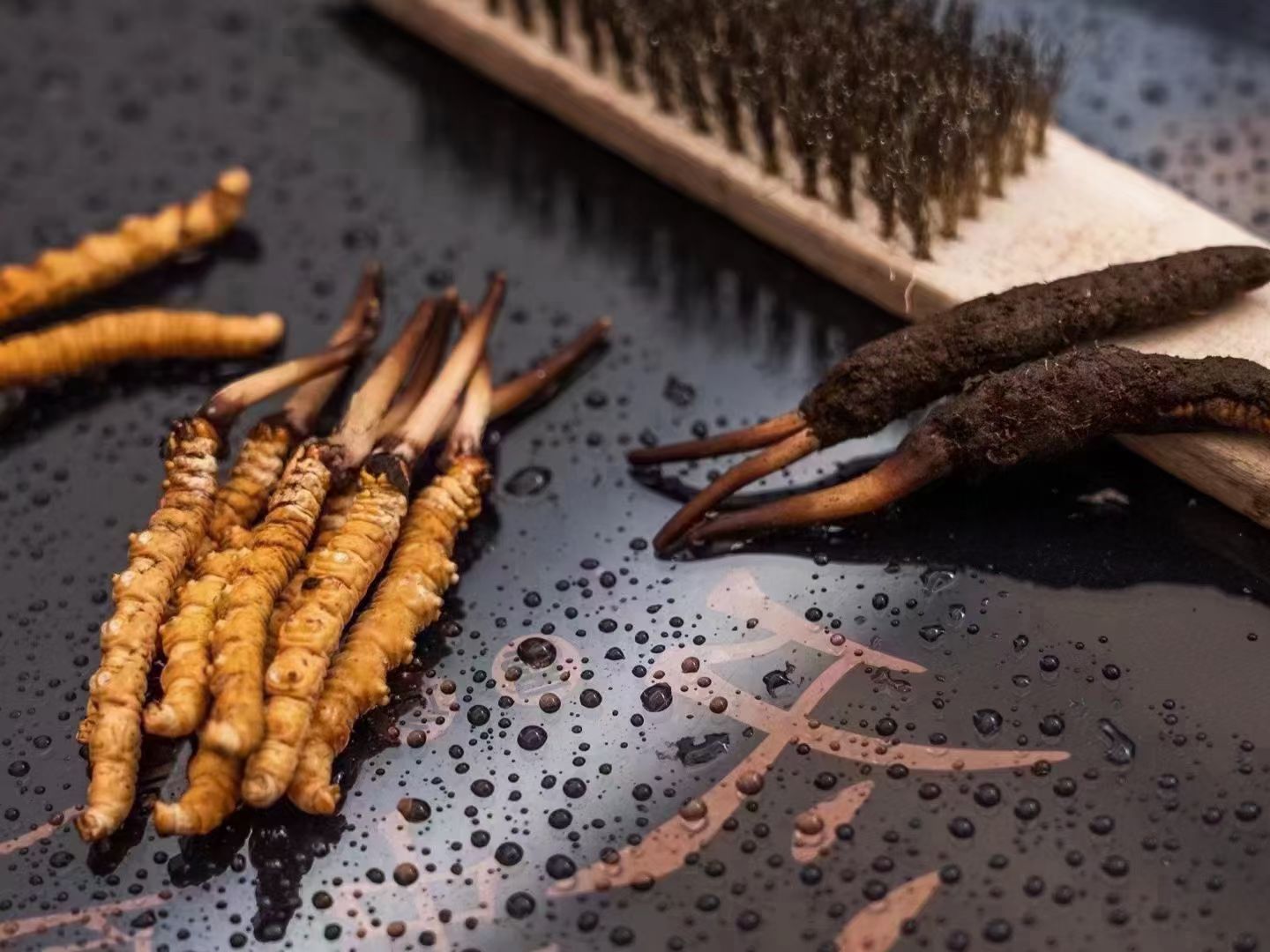 冬蟲夏草鮮草清理全指南:洗凈滋補好食材