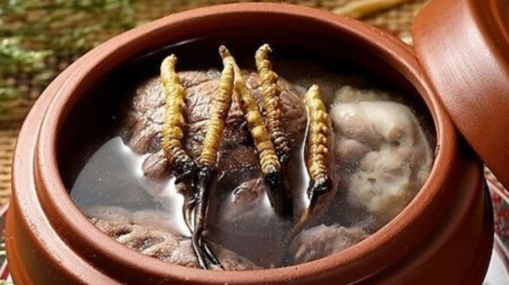 鮮冬蟲夏草吃多會上火嗎？一文解析真相