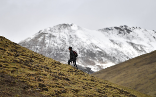 雪域珍寶：探秘鮮那曲冬蟲夏草的獨特魅力
