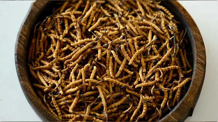 <a href=http://www.ddhuz.com/jiage/ target=_blank class=infotextkey>冬蟲夏草價(jià)格</a>探秘:多因素交織下的市場(chǎng)行情