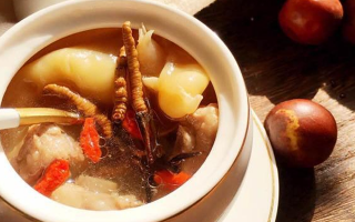 冬蟲夏草與什么泡水喝？養(yǎng)生搭配指南