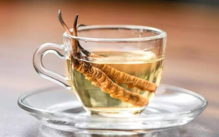 一杯蟲草水，健康新滋味：冬蟲夏草泡水喝的奇妙功效