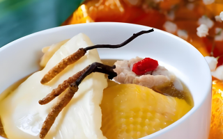 冬蟲夏草的作用有哪些