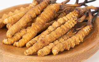 冬蟲(chóng)夏草產(chǎn)品多少錢(qián)