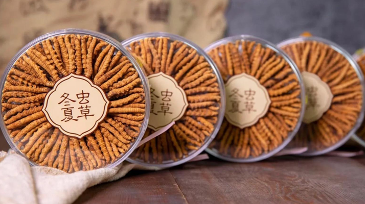 2025年7月冬蟲夏草價格行情公布！<a href=http://www.ddhuz.com/jiage/ target=_blank class=infotextkey>蟲草價格</a>降了！