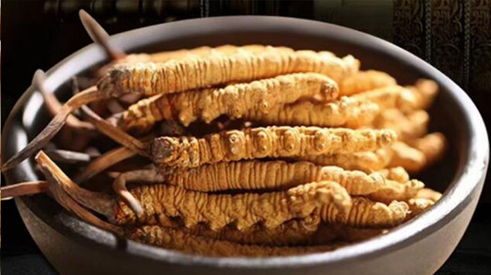 冬蟲夏草燉湯會上火嗎？科學(xué)解析滋補(bǔ)與上火的平衡之道