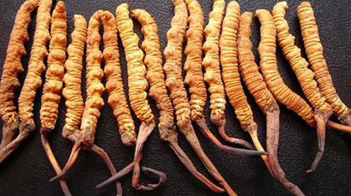 一克<a href=http://www.ddhuz.com/jiage/ target=_blank class=infotextkey>冬蟲夏草多少錢</a>？解密天價背后的價格密碼