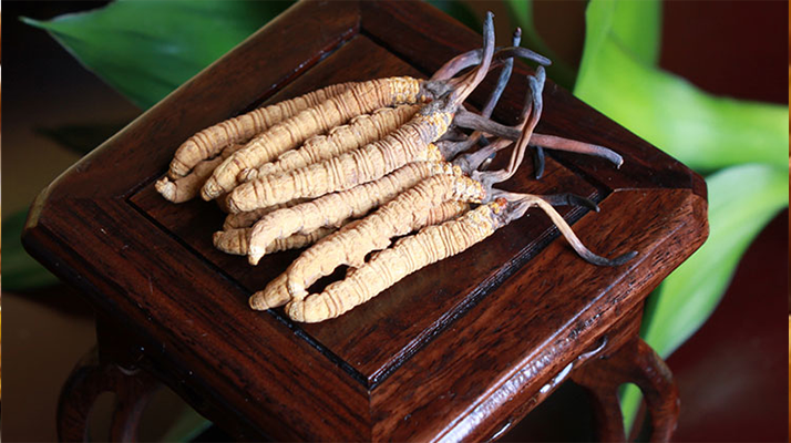 怎樣鑒別<a href=http://www.ddhuz.com/tag/6.html target=_blank class=infotextkey>冬蟲夏草的產(chǎn)地</a>