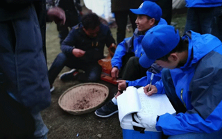 冬蟲夏草的一克究竟有多少根？揭秘珍稀中的奧秘