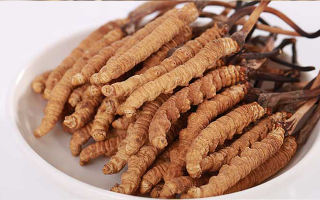 認(rèn)清假冬蟲(chóng)夏草：常見(jiàn)類型、鑒別方法與避坑指南