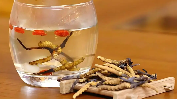 冬蟲夏草與枸杞能一起泡酒嗎？科學(xué)搭配與飲用指南