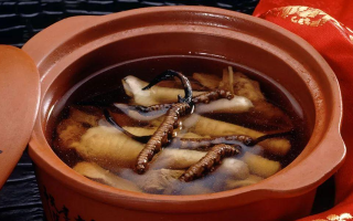 糖尿病可服用冬蟲夏草嗎？科學(xué)解析其調(diào)理價值與注意事項