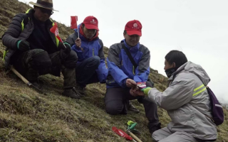 冬蟲夏草：把握最佳采摘季，守護(hù)自然饋贈