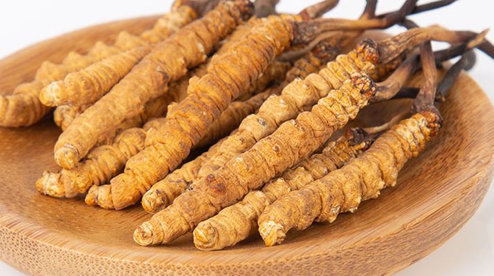 冬蟲夏草，真有那么大效果？