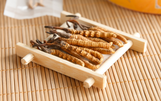 冬蟲夏草老鴨湯怎么燉？鮮香滋補的詳細做法與技巧