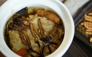 冬蟲夏草正常燉幾分鐘？掌握時長讓滋補更高效