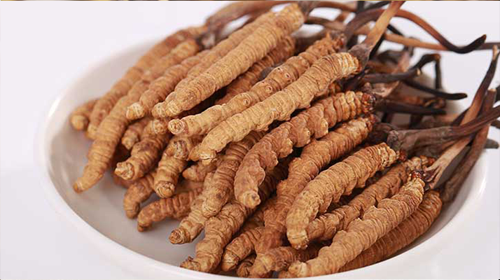 冬蟲夏草一公斤多少錢？多因素交織下的價(jià)格密碼