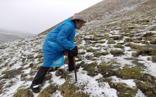 西藏挖冬蟲(chóng)夏草在什么時(shí)候？產(chǎn)區(qū)與時(shí)間全攻略