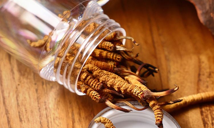 <a href=http://www.ddhuz.com/jiage/ target=_blank class=infotextkey>冬蟲(chóng)夏草多少錢(qián)</a>一條 