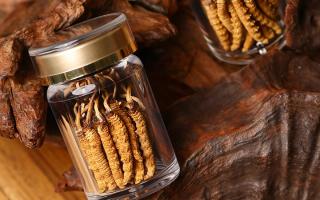 鮮冬蟲夏草泡水后怎么保存？3 種場景保存方法 + 避坑指南