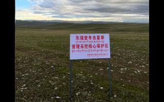高原之上，蟲(chóng)草共生；守護(hù)生態(tài)，東強(qiáng)堂與你同行