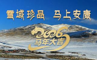 雪域高原藏珍品，2026愿您馬上安康——來(lái)自西藏那曲蟲(chóng)草網(wǎng)的新春祝福