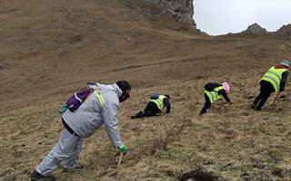 深耕那曲雪域，甄選正宗好草——2026那曲冬蟲夏草優(yōu)質(zhì)品牌盤點(diǎn)